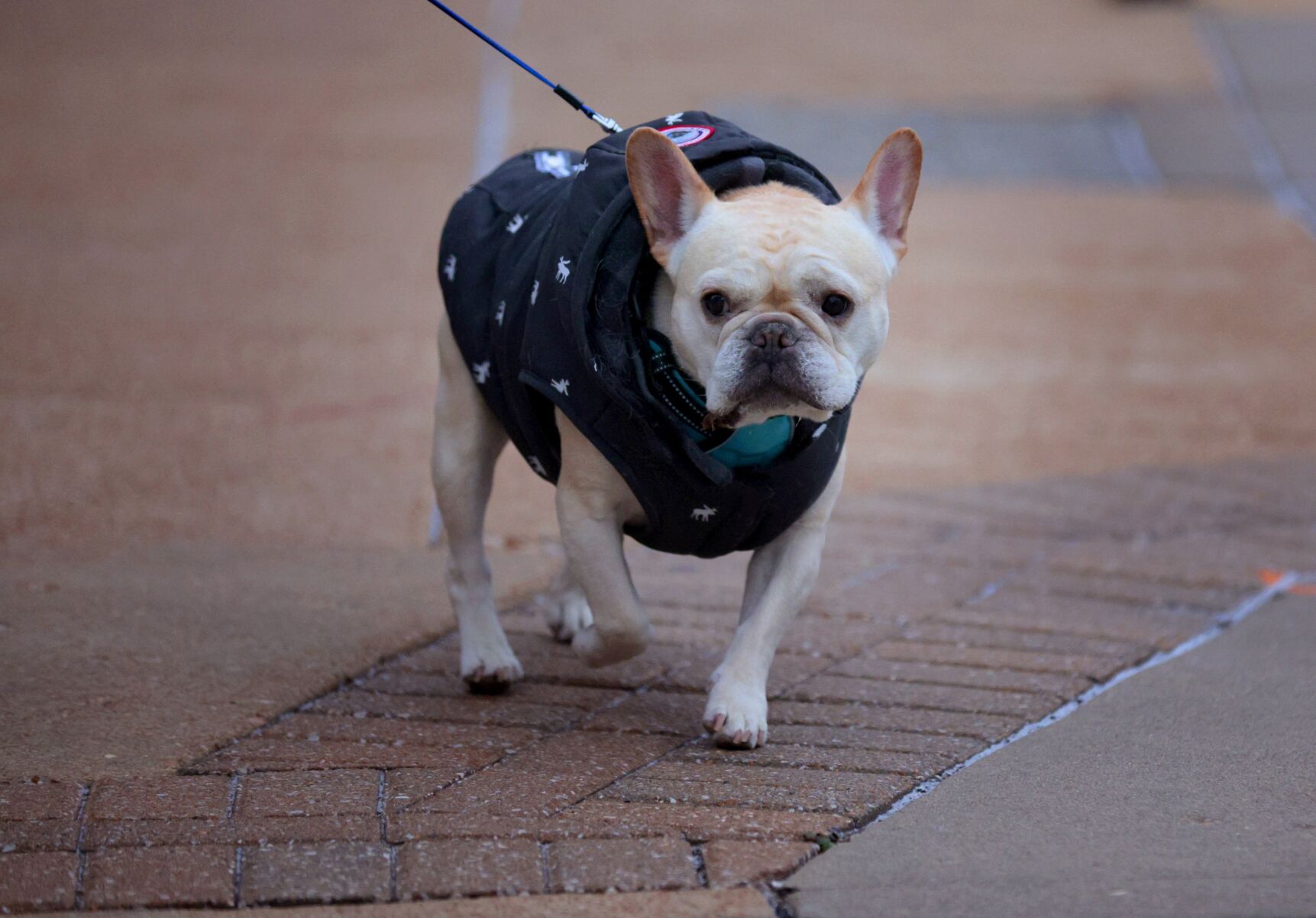 Cold weather continues Saturday
